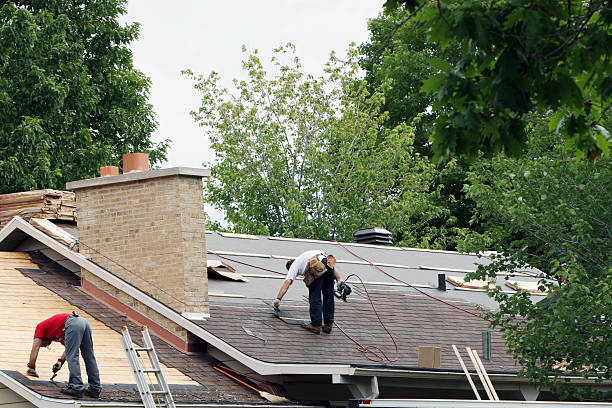 Best Roof Insulation Installation  in Somerville, MA